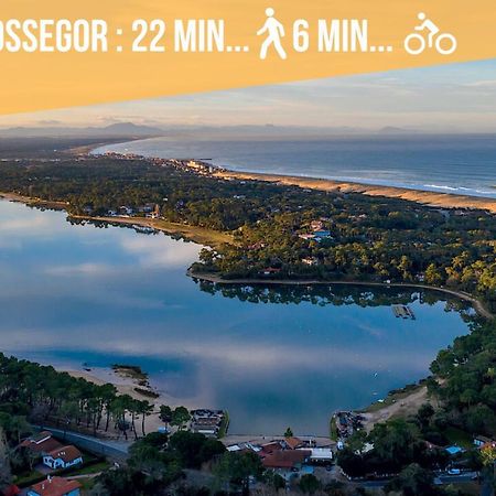 Hossegor - Vue Ocean - Plage - Couple - Famille Soorts-Hossegor Exteriér fotografie